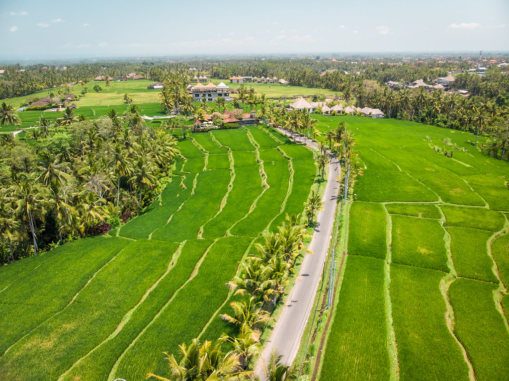 Saudi Aramco backs India’s Mitti Labs to make Asia’s rice farming more water-resilient